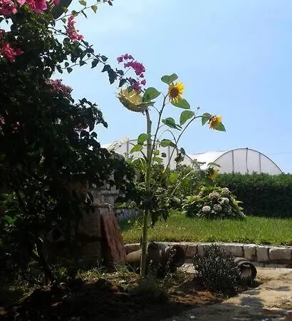 Domus Gea Σπίτι διακοπών Sperlonga