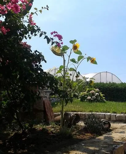 Domus Gea Nyaraló Sperlonga